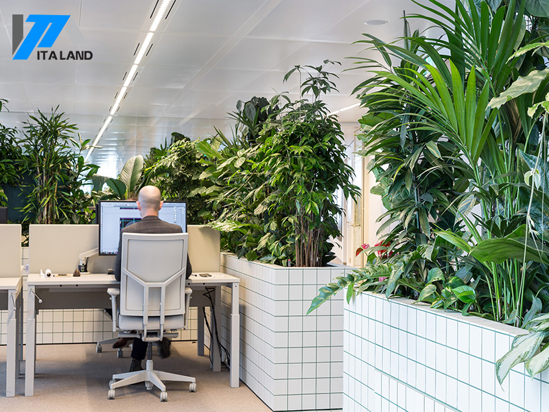 Những sai lầm cần tránh khi thiết kế nội thất văn phòng