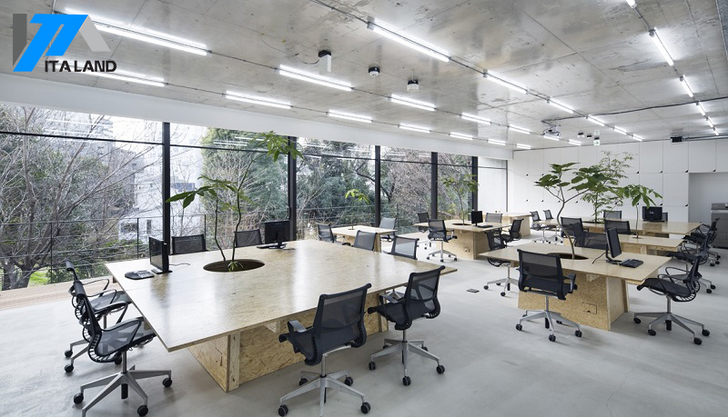 Văn phòng làm việc mở giúp gia tăng năng suất công việc