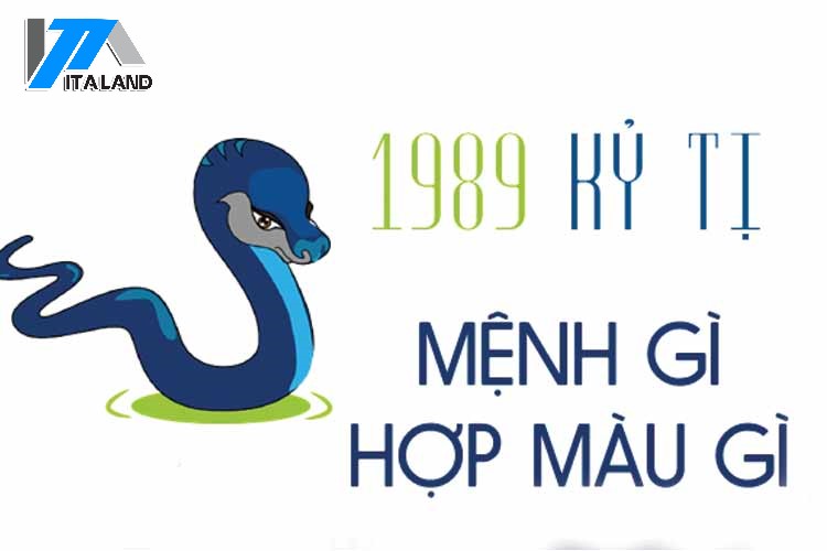 Tổng hợp màu sắc hợp tuổi 1989 khi mua xe, sơn nhà, chọn đá phong thủy