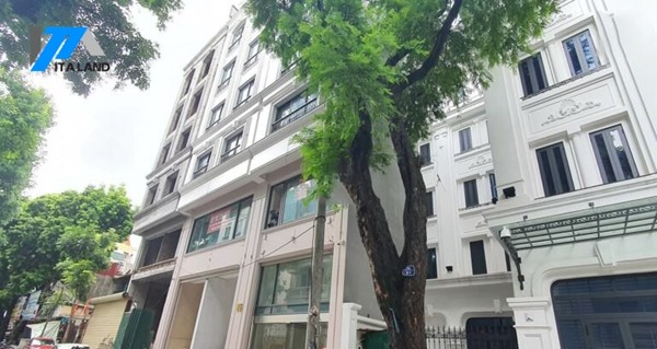 15 Lý Nam Đế