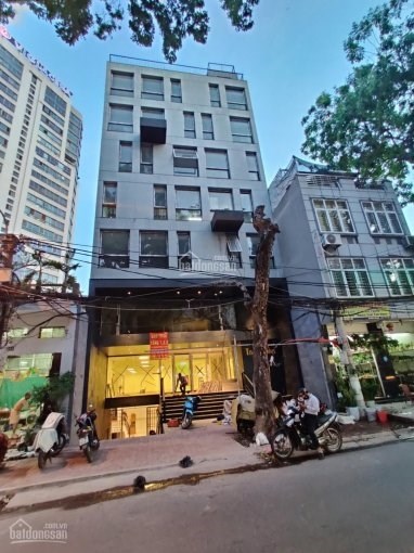 Tim Building Hoàng Hoa Thám