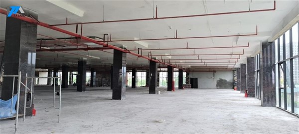 Dinhle Trịnh Văn Bô