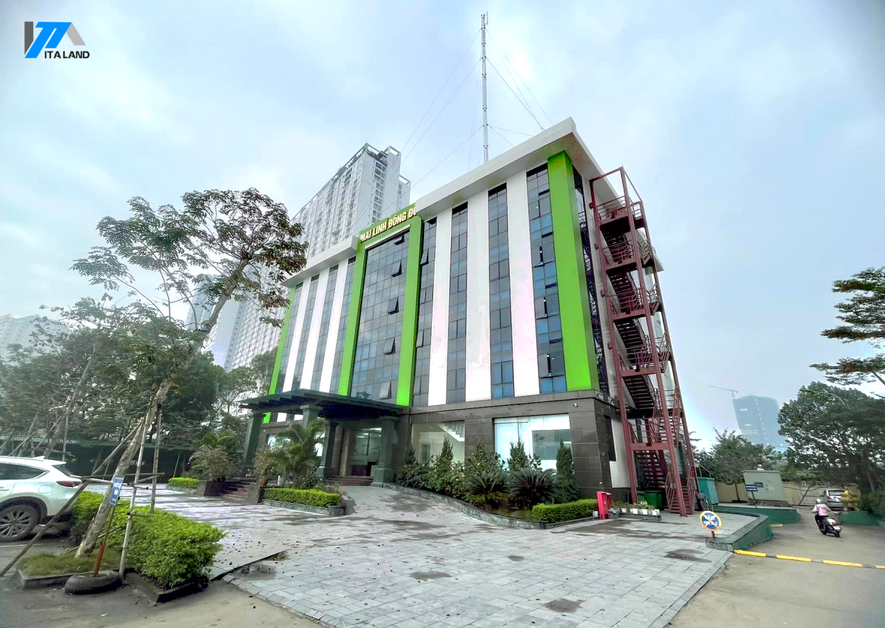 Mai Linh Đông Đô