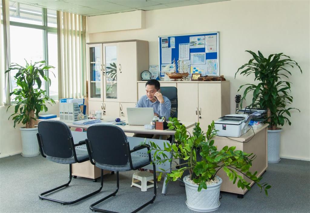 Tổng hợp mặt bằng cho thuê văn phòng tại đường Ngô Quyền, Hoàn Kiếm